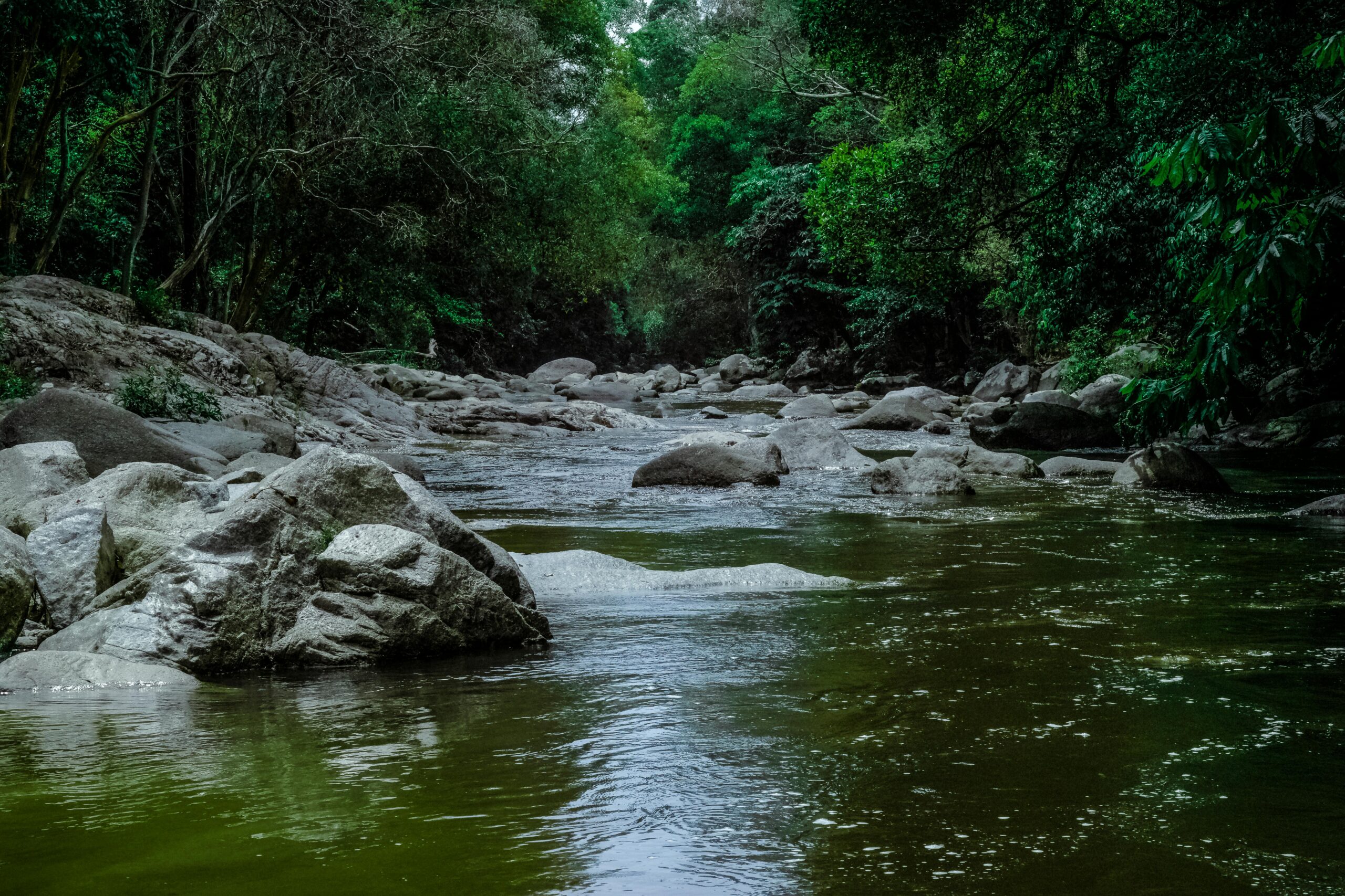 River of Love