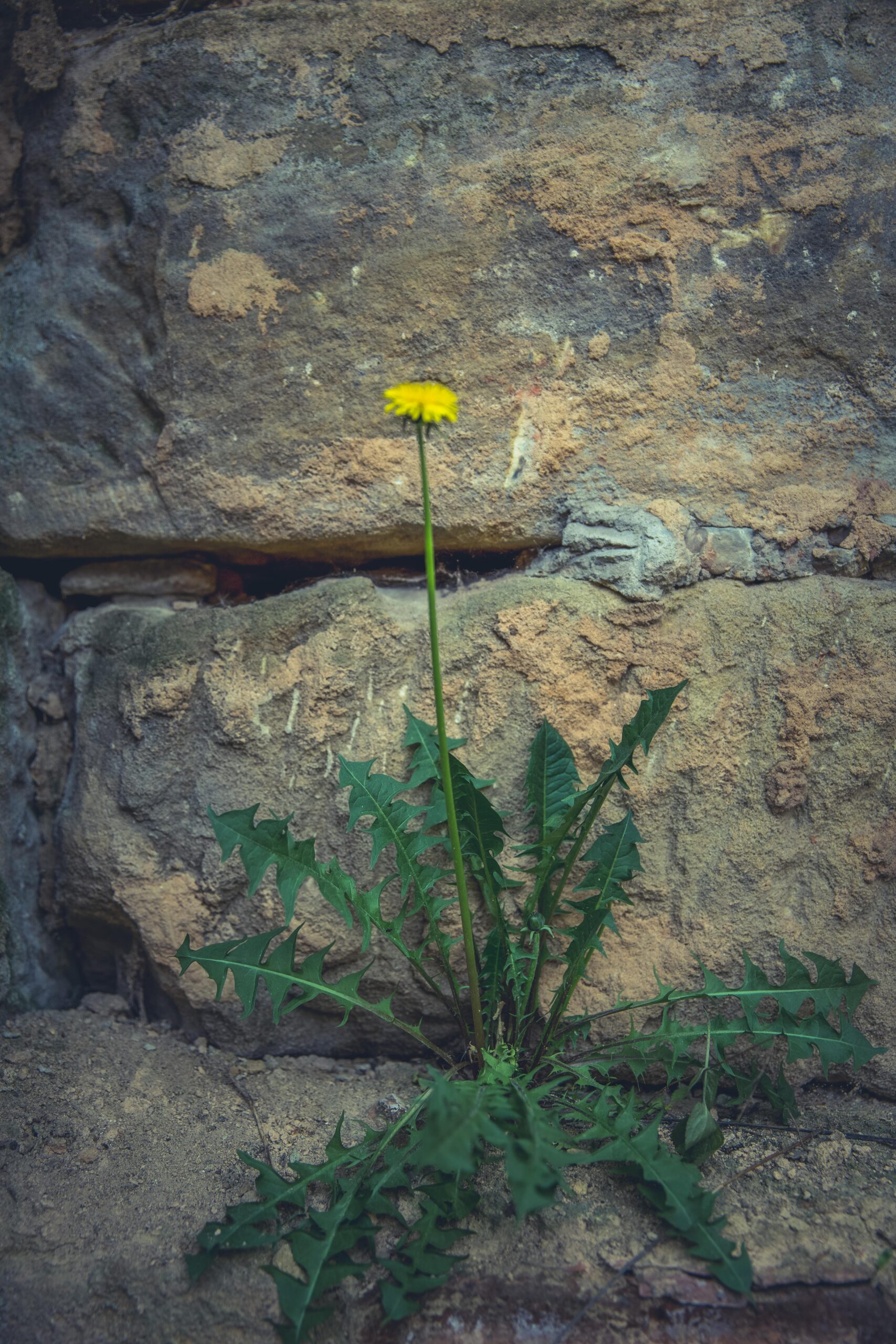 A Letter to My 17-Year-Old Self: Life Lessons I Wish I Knew