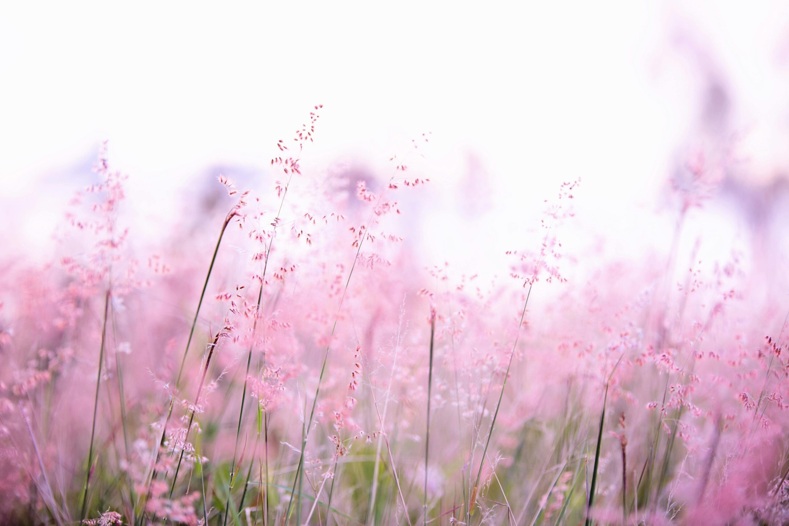 Promise of Love