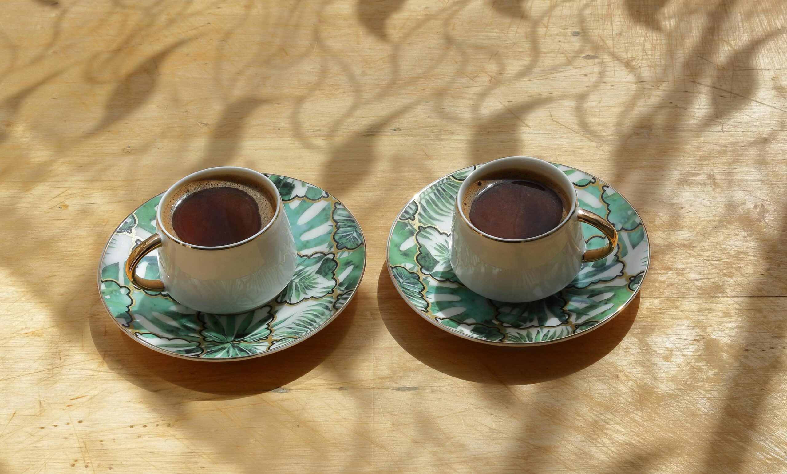 Distant Shores, Shared Dreams: Our First In-Person Meeting (Day 05)