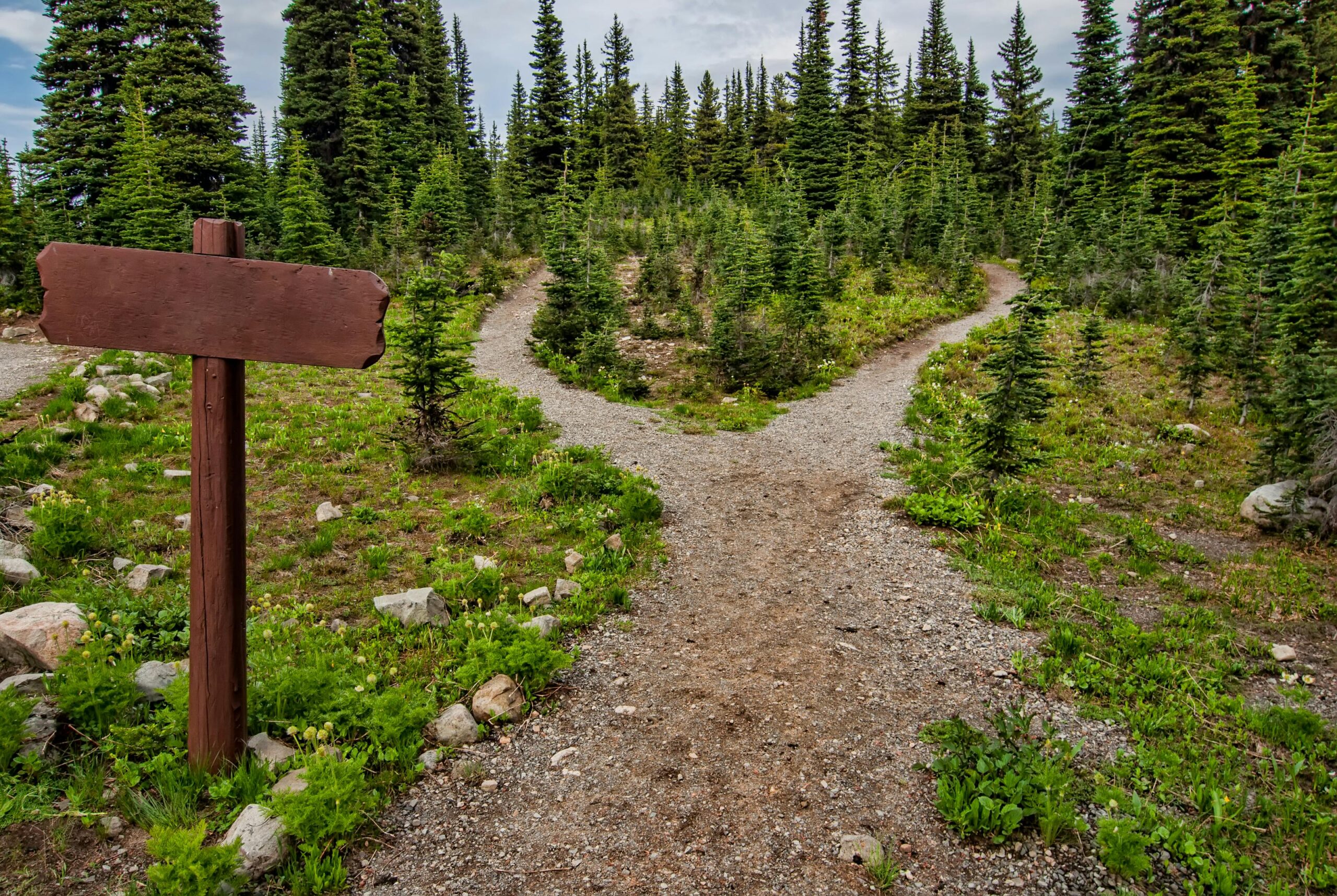 Broken Compass, Tangled Threads: Navigating Life’s Chaos with Clarity