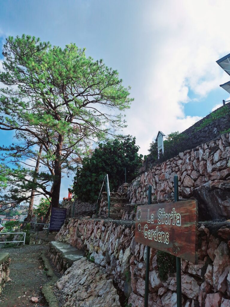 A tall pine tree and stone wall along a garden path at La Storta Gardens in Mirador Heritage and Eco-Spirituality Park, Baguio City