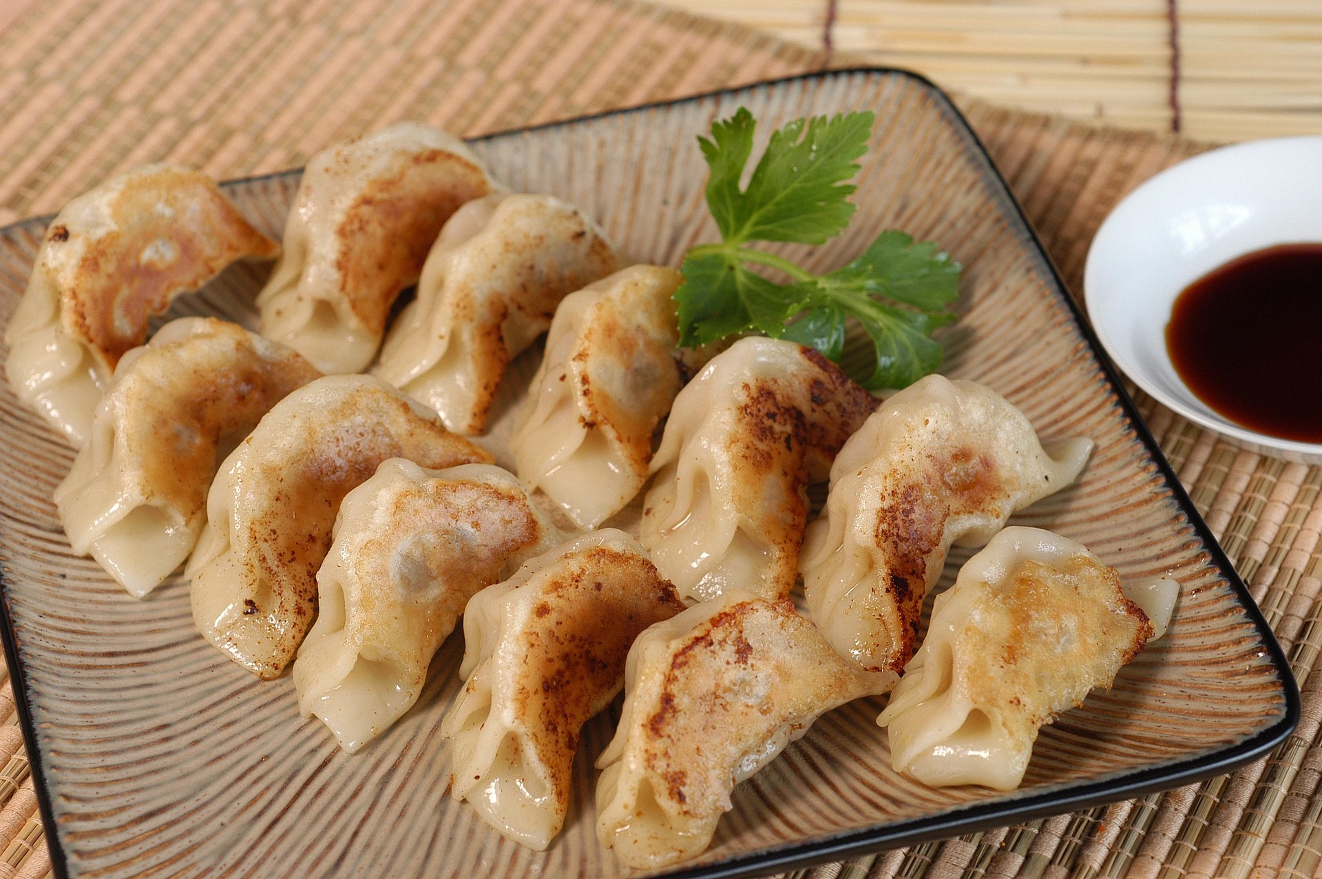 Pan-fried pork and bok choy dumplings on a plate with dipping sauce
