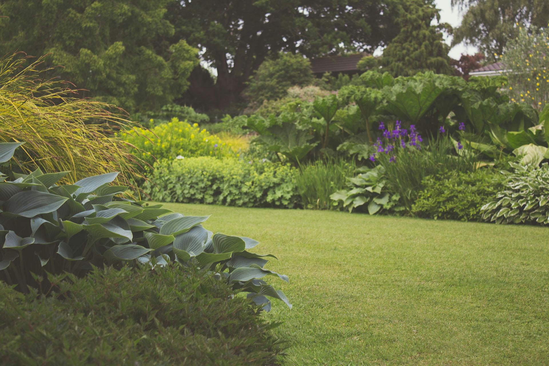 Lies Hidden in My Garden K-drama – a lush, beautiful garden hiding dark secrets