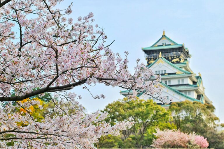 Cherry blossoms in front of Osaka Castle — Asian countries to visit in March
