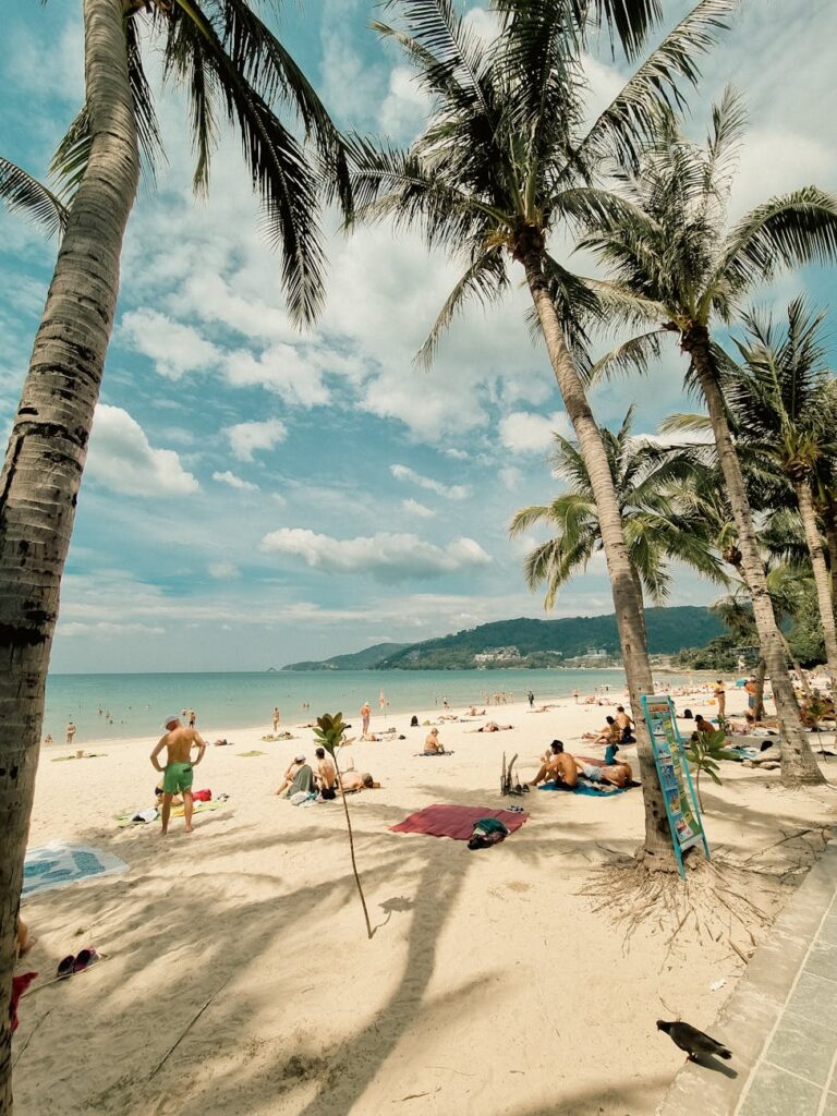 Tropical destinations in spring: palm trees on a sunny beach