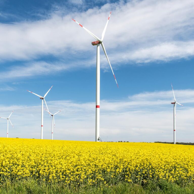 Wind turbines over a field of yellow spring flowers under a blue sky — European countries to visit in spring