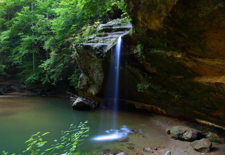 Wrong Turn 2021 movie review - forest waterfall on the Appalachian Trail in West Virginia